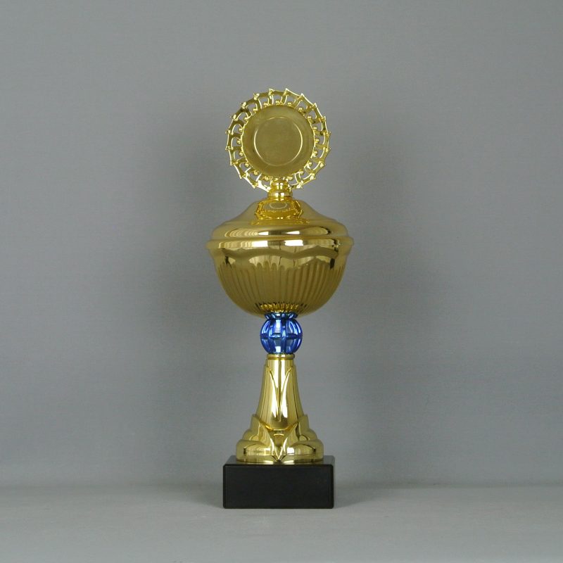 6er Serie Pokale 558a Silber/Blau mit Höhe=32,5-27,0 cm inkl.Gravur 52,95 EUR 